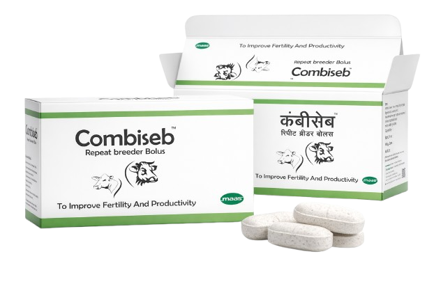 Combiseb