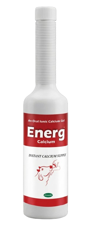 Energ Gel