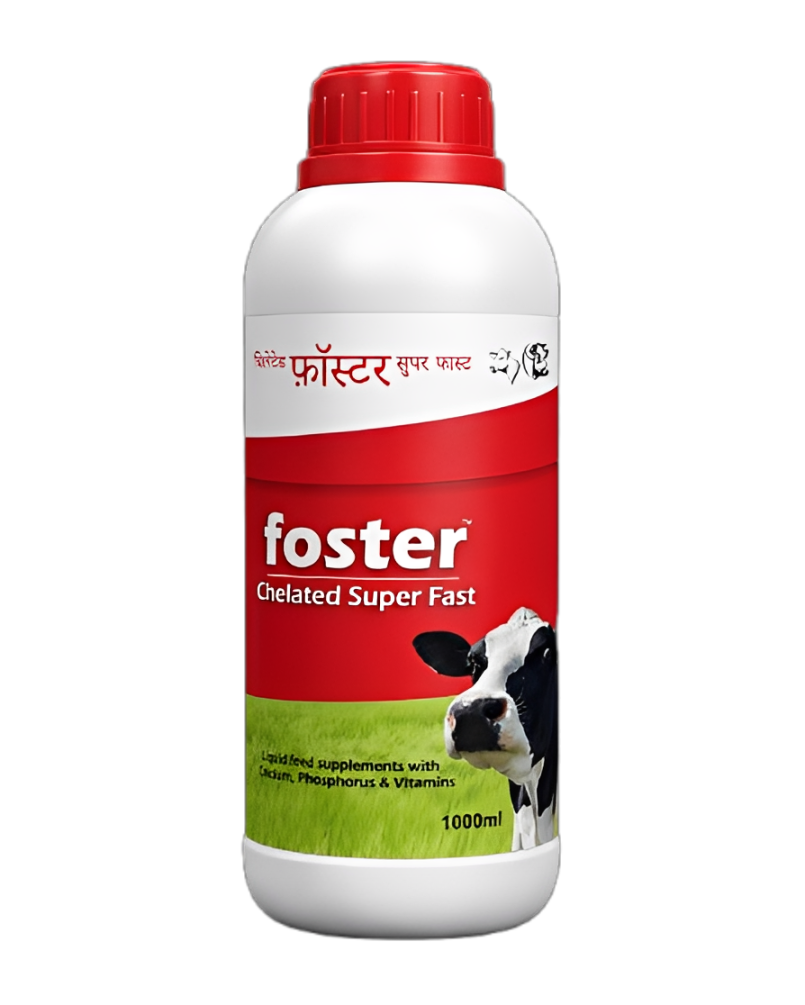 Foster SF