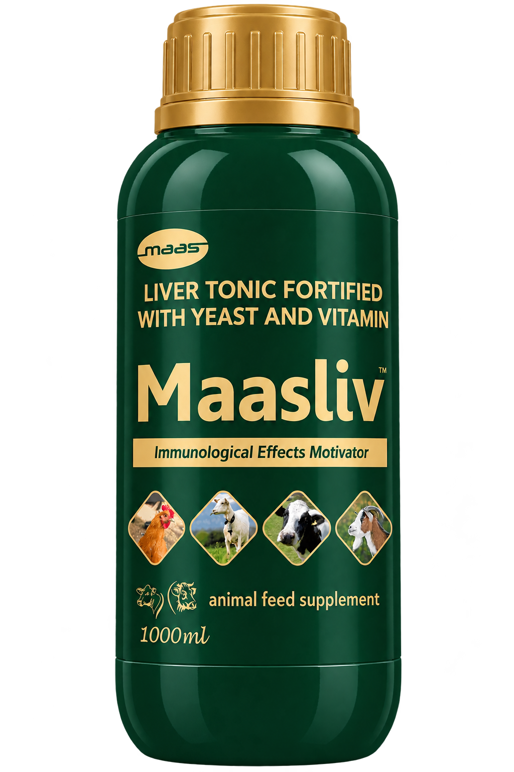 Maasliv