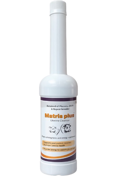 Matris Plus