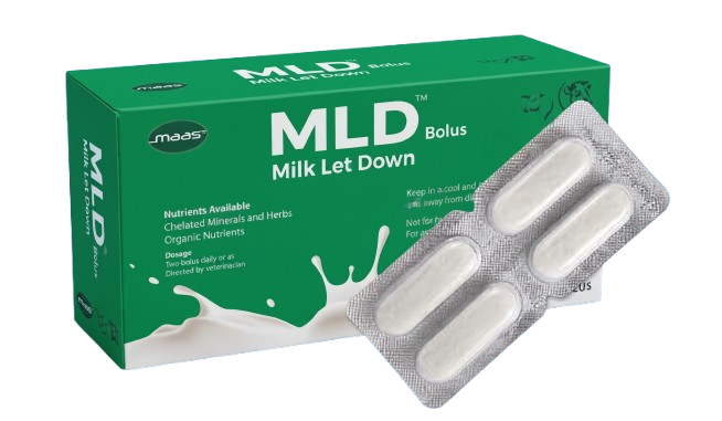 MLD